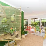 Gasthuis Finca Pepe 2